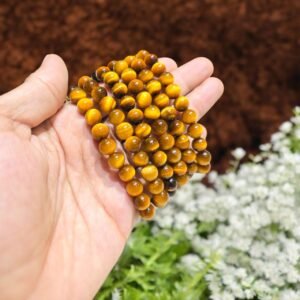 Star Tiger Eye Bracelet
